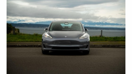 Tesla Model 3 2019 photo 2