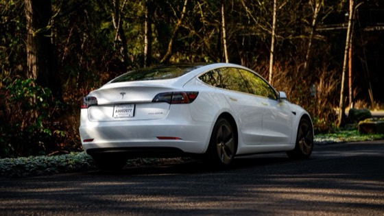 Tesla Model 3 2020 photo 2